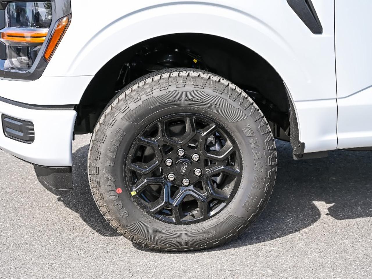 2026 Ford F-150 STX Photo