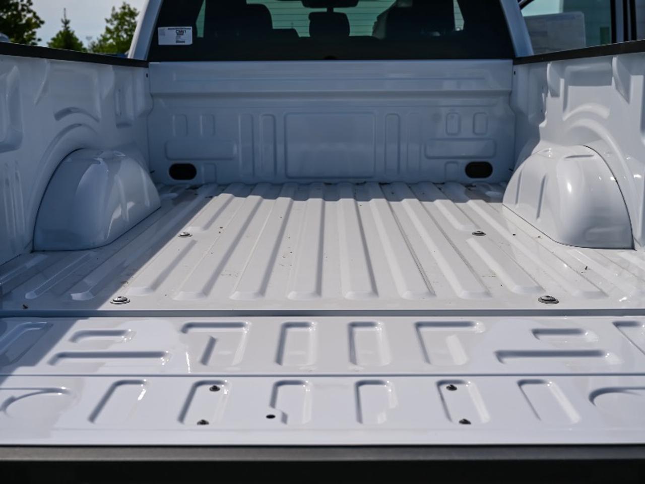 2026 Ford F-150 STX Photo