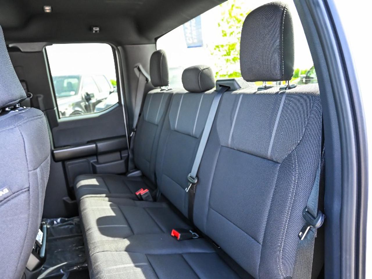 2026 Ford F-150 STX Photo