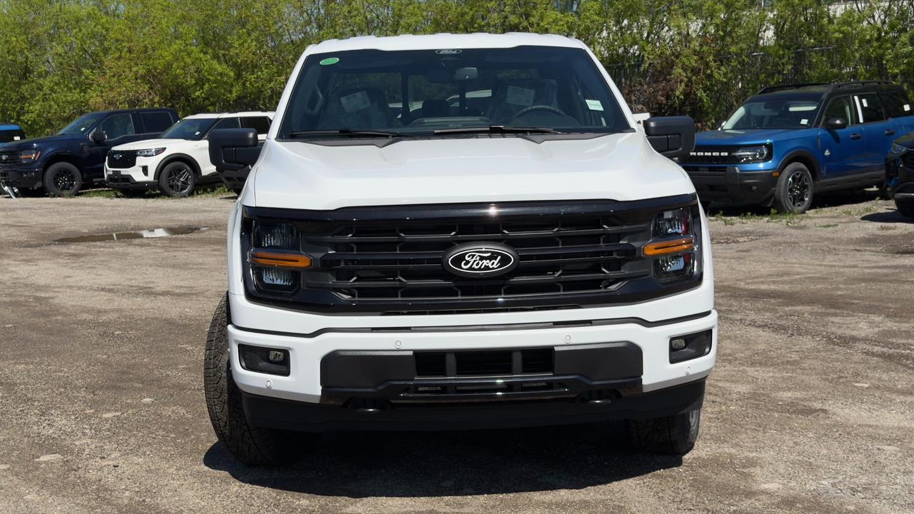 2026 Ford F-150 XLT Photo
