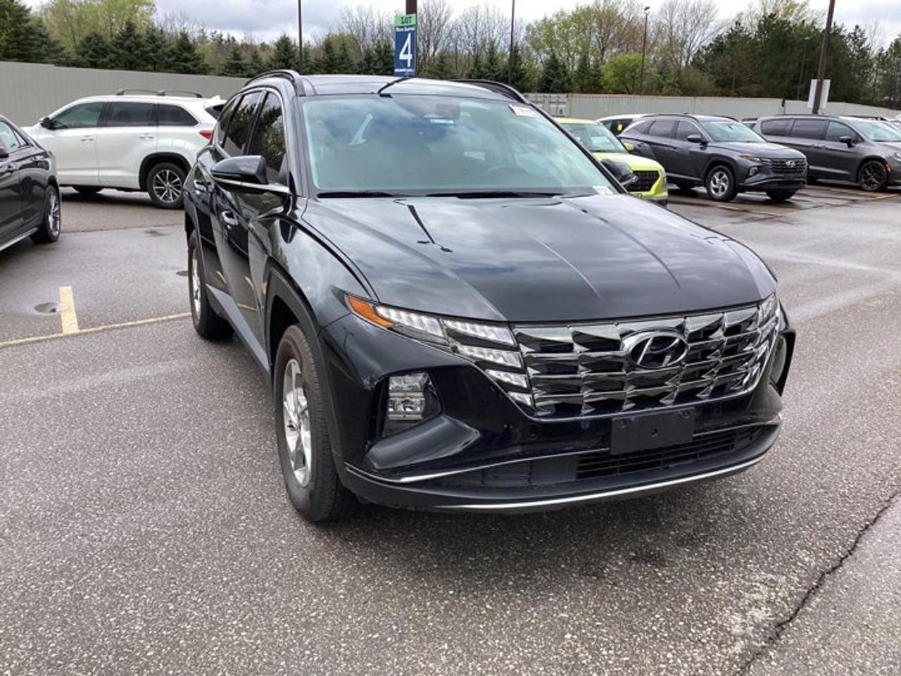 2024 Hyundai Tucson Trend AWD | No Accidents | Leather Seats | Panoramic Sunroof Photo