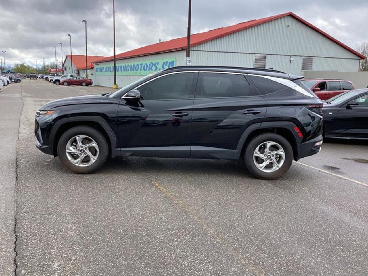 2024 Hyundai Tucson Trend AWD | No Accidents | Leather Seats | Panoramic Sunroof Photo