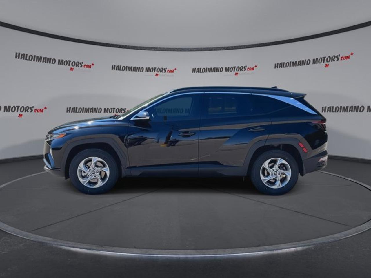2024 Hyundai Tucson Trend AWD | No Accidents | Leather Seats | Panoramic Sunroof Photo