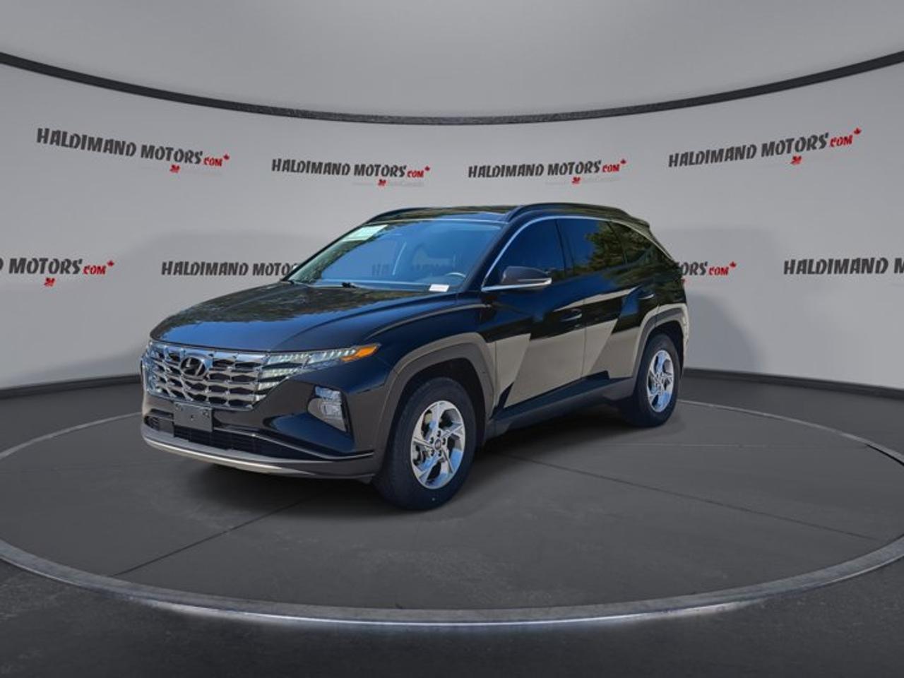 2024 Hyundai Tucson Trend AWD | No Accidents | Leather Seats | Panoramic Sunroof Photo