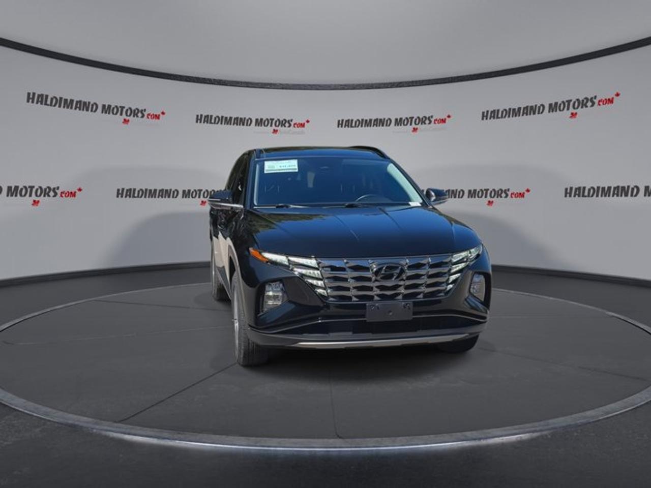 2024 Hyundai Tucson Trend AWD | No Accidents | Leather Seats | Panoramic Sunroof Photo