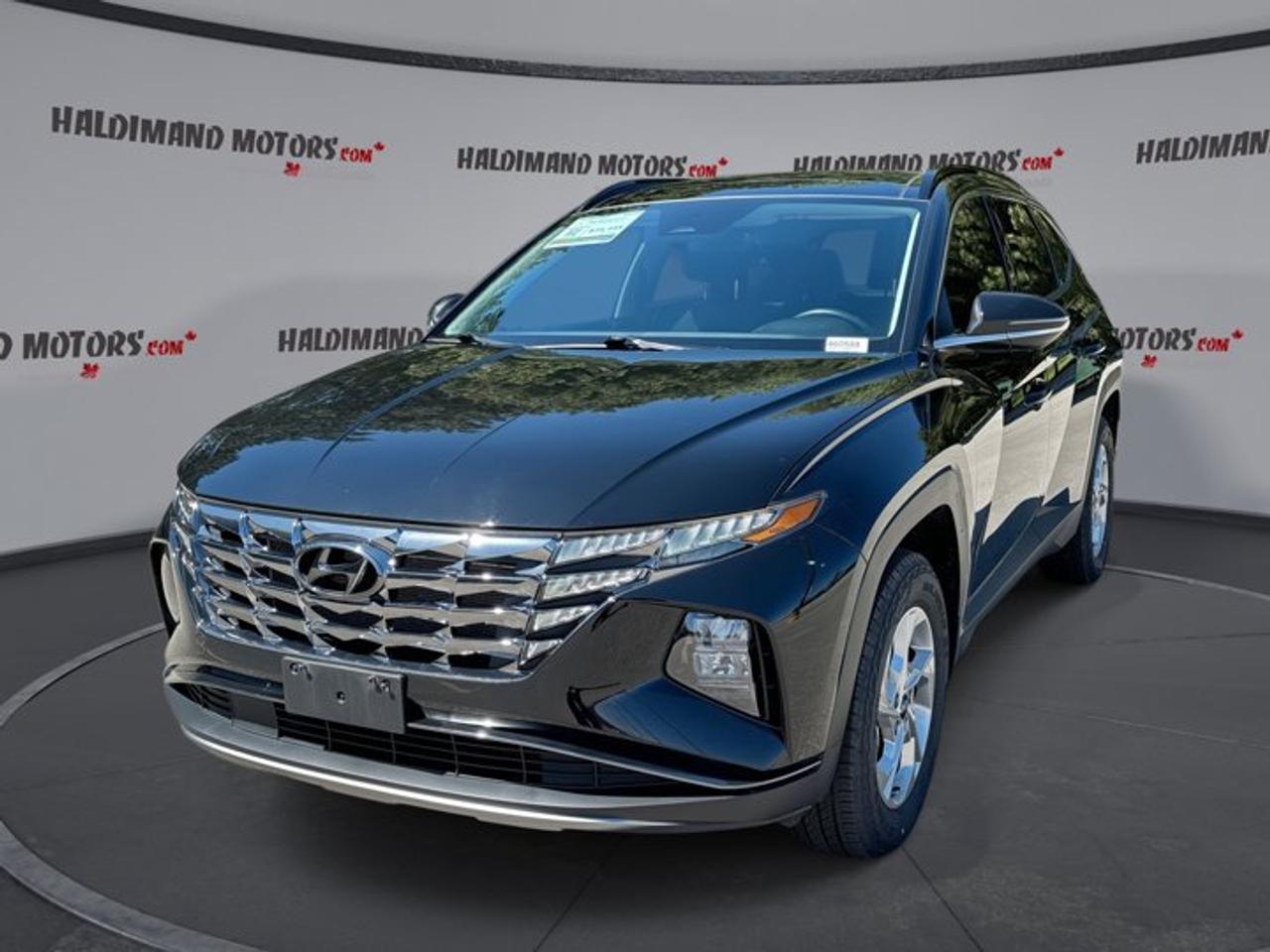 2024 Hyundai Tucson Trend AWD | No Accidents | Leather Seats | Panoramic Sunroof Photo
