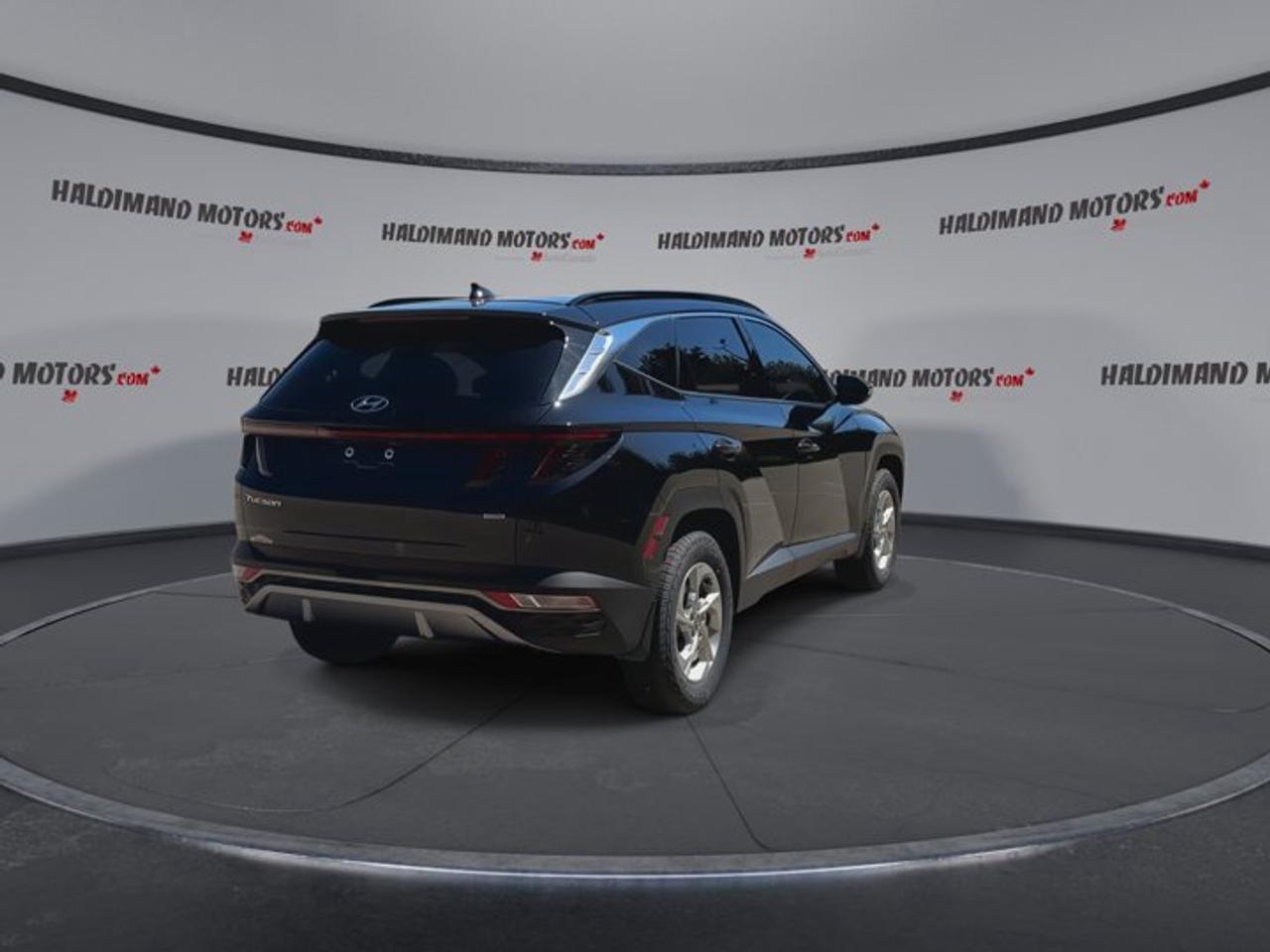 2024 Hyundai Tucson Trend AWD | No Accidents | Leather Seats | Panoramic Sunroof Photo
