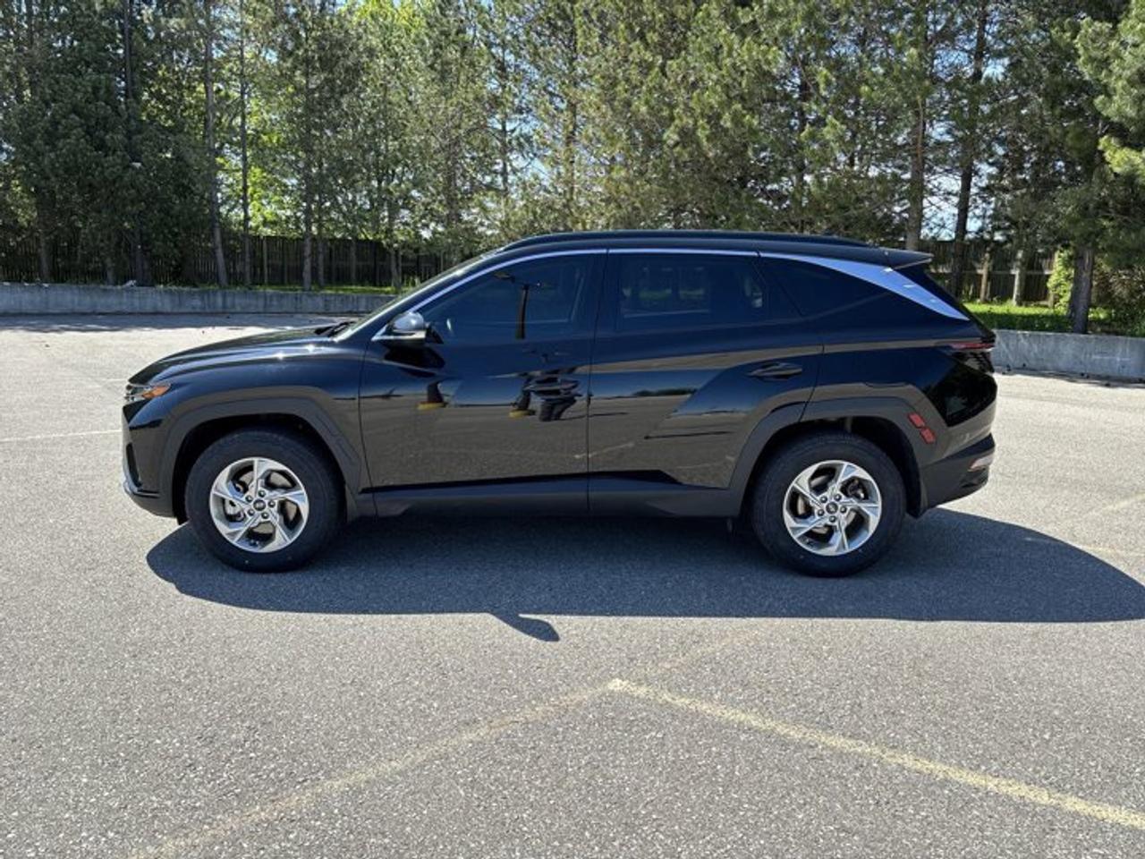 2024 Hyundai Tucson Trend AWD | No Accidents | Leather Seats | Panoramic Sunroof Photo