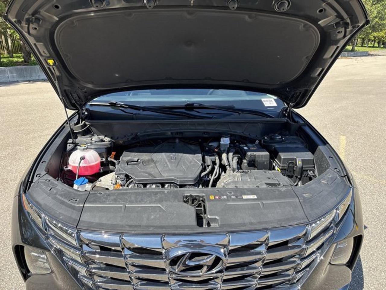 2024 Hyundai Tucson Trend AWD | No Accidents | Leather Seats | Panoramic Sunroof Photo