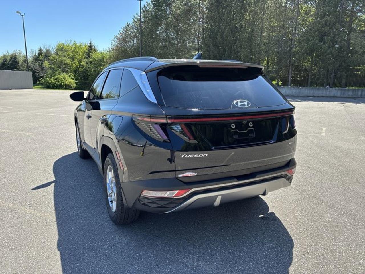 2024 Hyundai Tucson Trend AWD | No Accidents | Leather Seats | Panoramic Sunroof Photo
