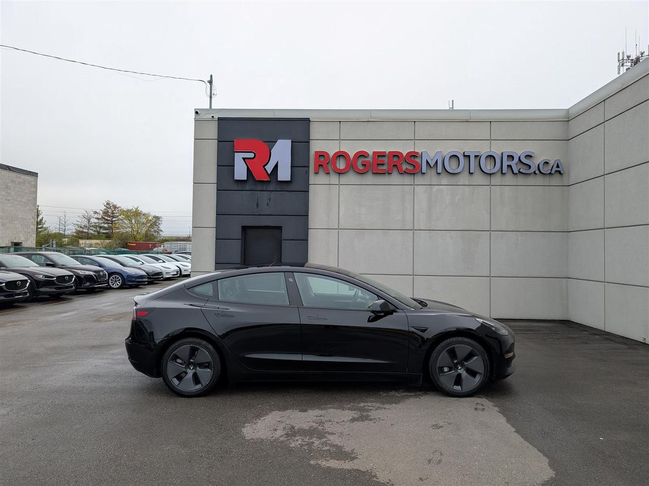 2022 Tesla Model 3 STANDARD Photo