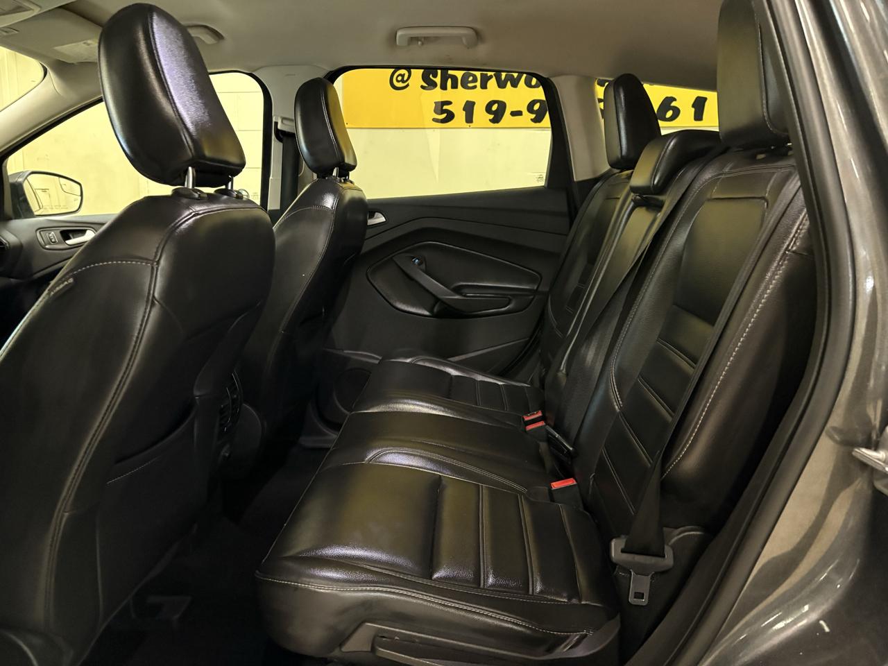 2019 Ford Escape SEL Photo