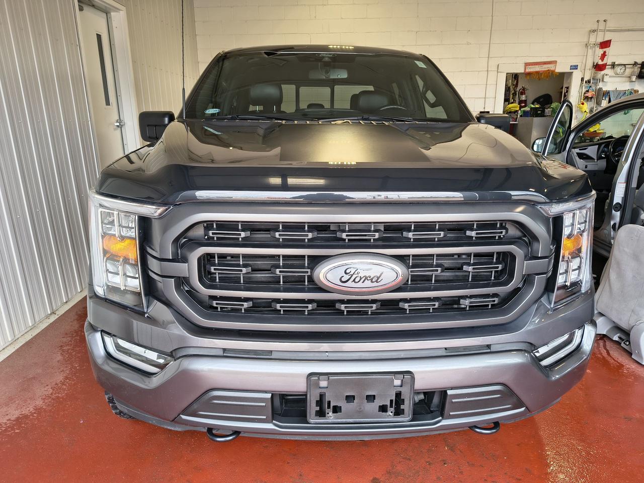 2022 Ford F-150 XL Photo