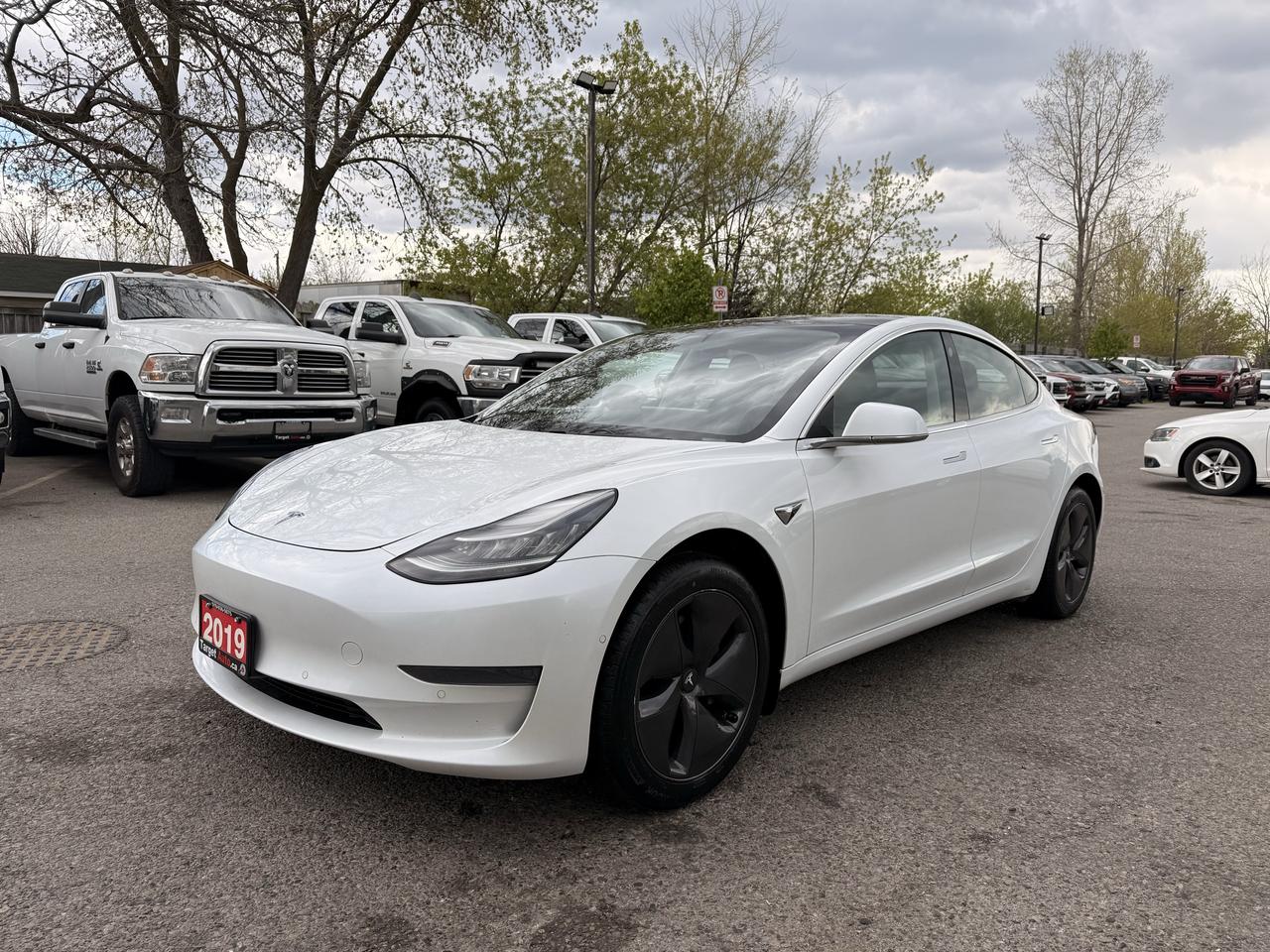 2019 Tesla Model 3 Standard Range Plus | Clean CARFAX Photo2