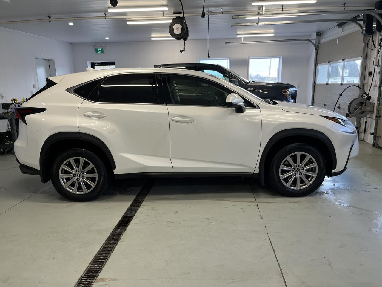 2021 Lexus NX 300 Base Photo4