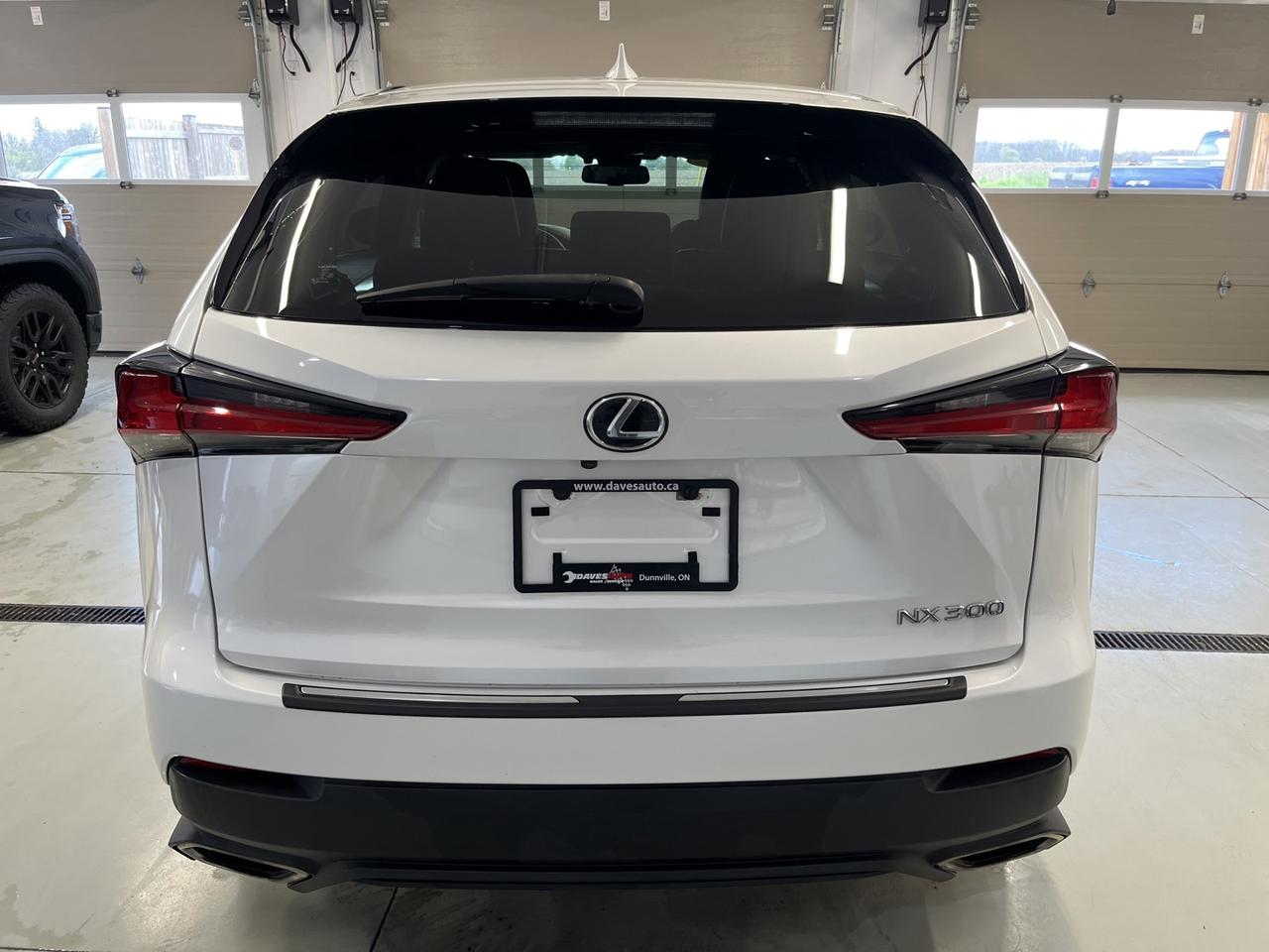 2021 Lexus NX 300 Base Photo