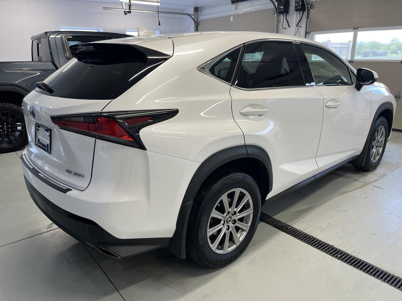 2021 Lexus NX 300 Base Photo3
