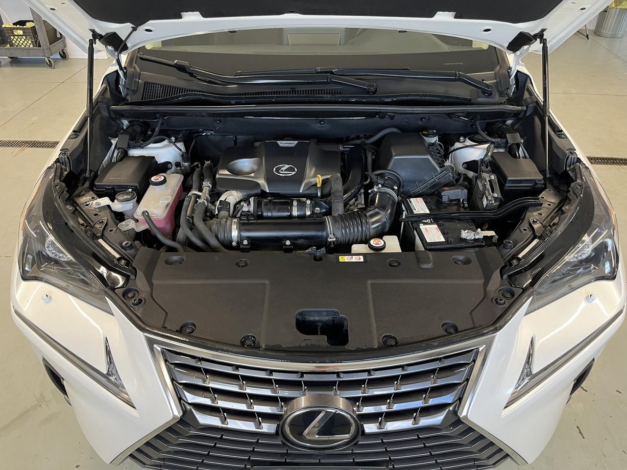 2021 Lexus NX 300 Base Photo