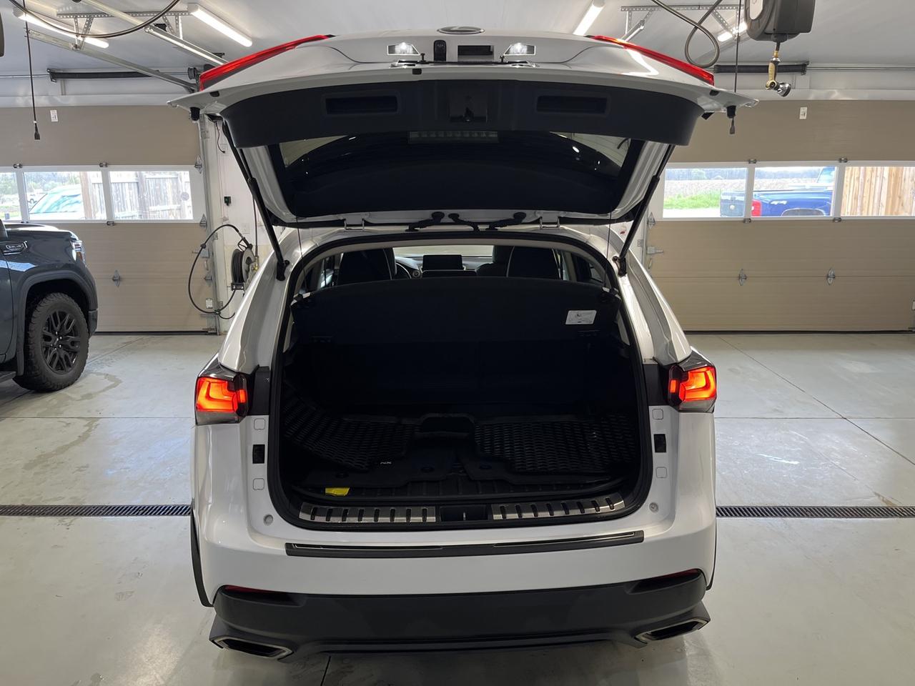 2021 Lexus NX 300 Base Photo