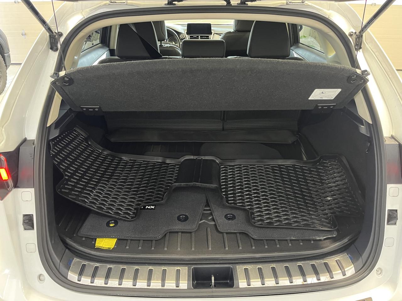 2021 Lexus NX 300 Base Photo