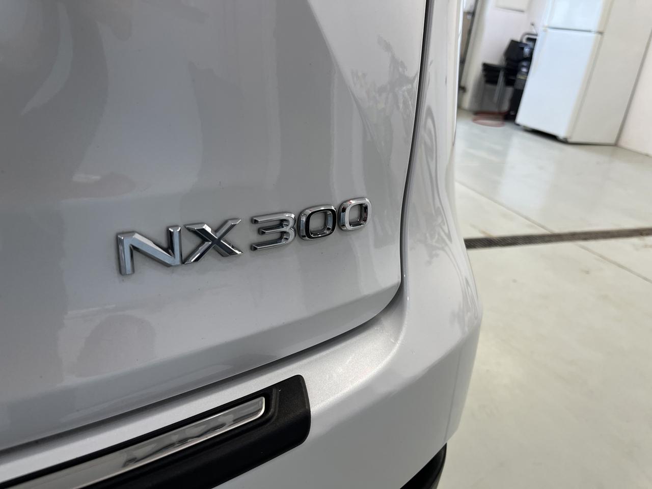 2021 Lexus NX 300 Base Photo