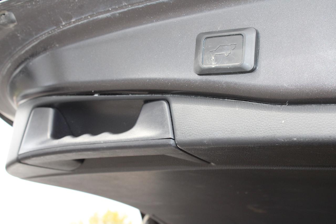 2024 Toyota RAV4 XLE Photo