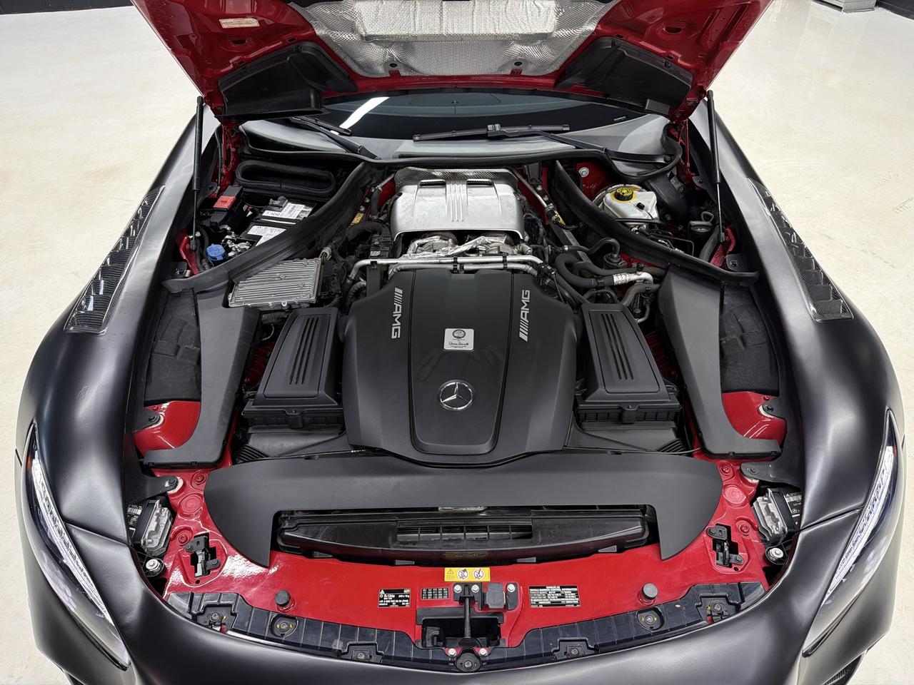 2017 Mercedes-Benz AMG GT GT-R KIT|CARBON KIT|NAV|BACKUP|BSM|FCW|BURMESTER| Photo