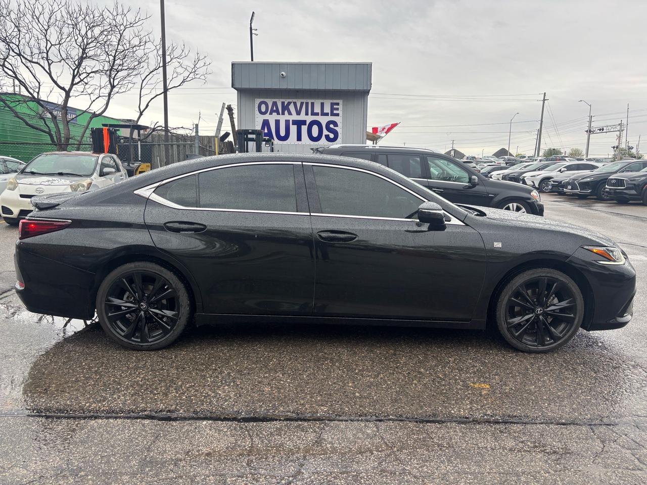 2024 Lexus ES 350 F-Sport ES 350 Auto Photo