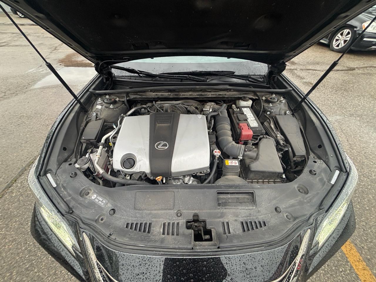 2024 Lexus ES 350 F-Sport ES 350 Auto Photo