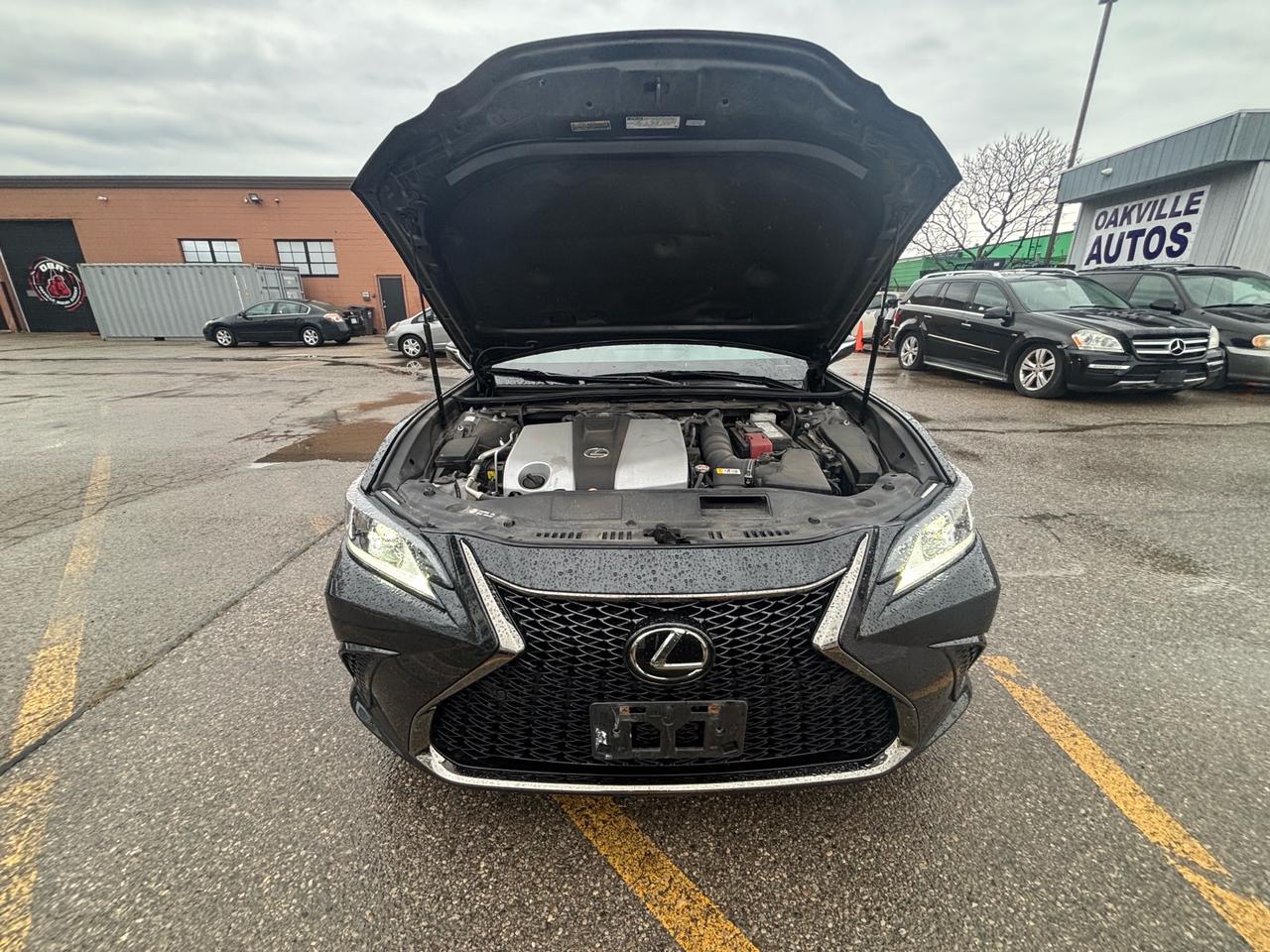 2024 Lexus ES 350 F-Sport ES 350 Auto Photo