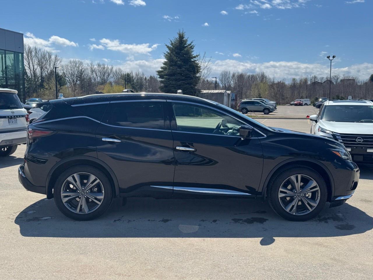 2024 Nissan Murano AWD PLATINUM Photo