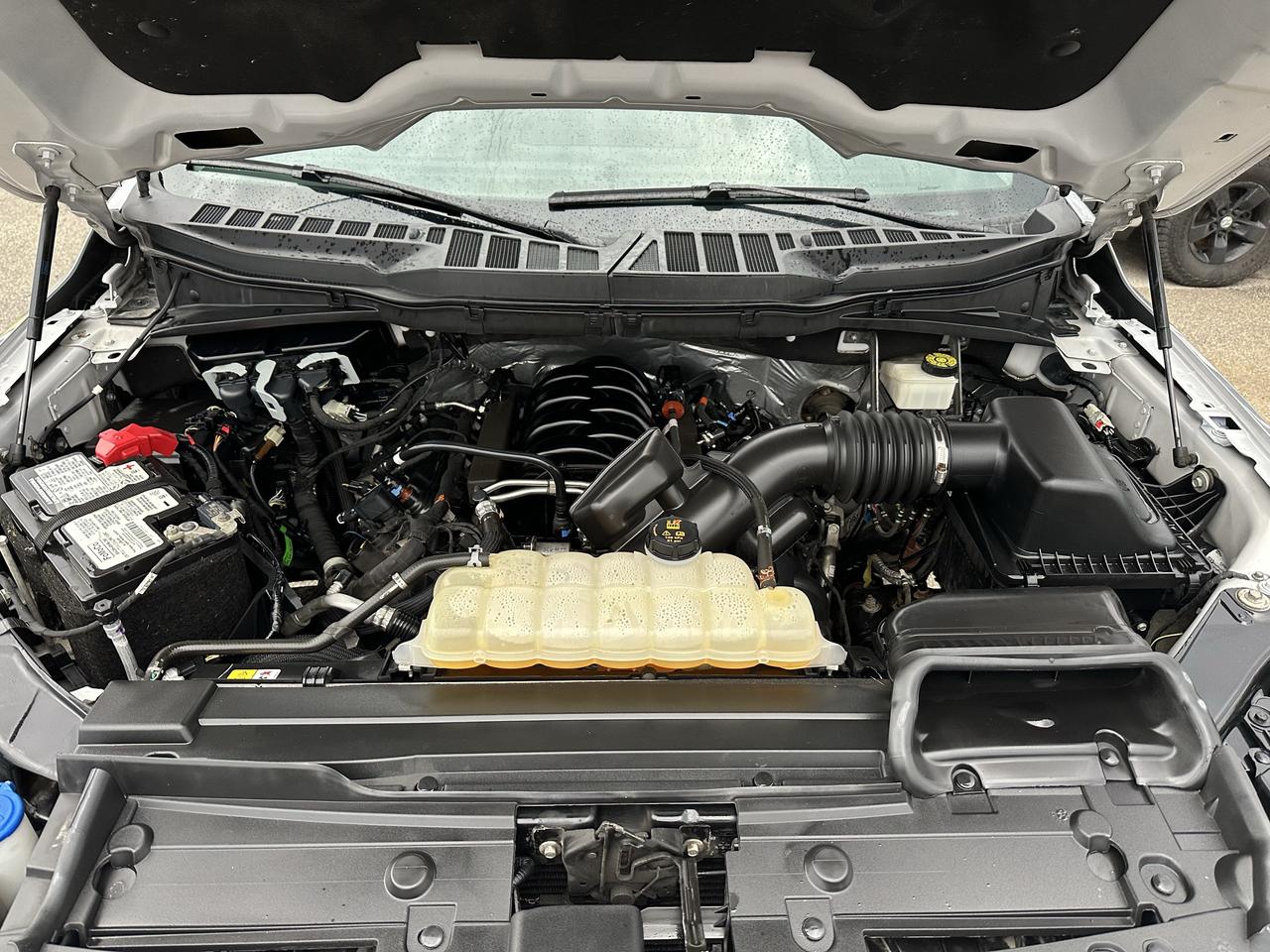 2021 Ford F-150 XLT Photo