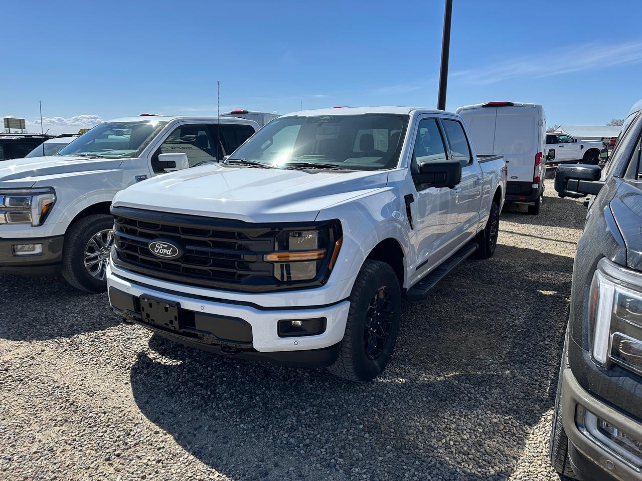 2026 Ford F-150 XLT 4WD SuperCrew 6.5' Box 302A