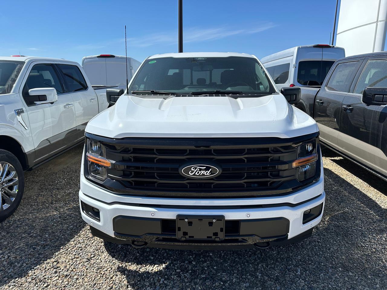 2026 Ford F-150 XLT 4WD SuperCrew 6.5' Box 302A Photo1