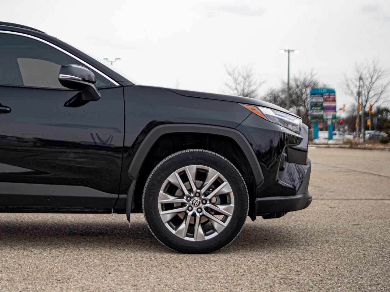 2024 Toyota RAV4 XLE Premium AWD Photo