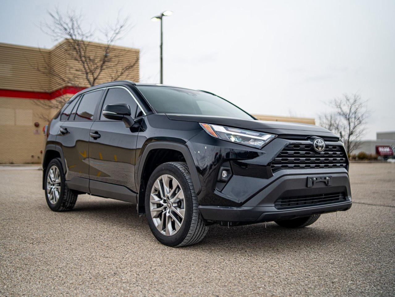 2024 Toyota RAV4 XLE Premium AWD Photo