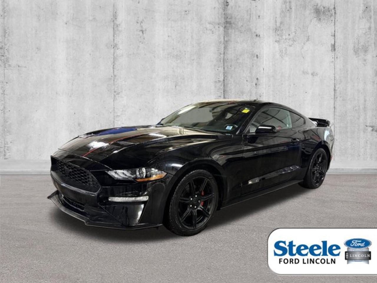 Recent Arrival!Shadow Black2019 Ford Mustang EcoBoostRWD 10-Speed Automatic EcoBoost 2.3L I4 GTDi DOHC Turbocharged VCTVALUE MARKET PRICING!!.Awards:* 2019 KBB.com 10 Coolest Cars Under $30,000ALL CREDIT APPLICATIONS ACCEPTED! ESTABLISH OR REBUILD YOUR CREDIT HERE. APPLY AT https://steeleadvantagefinancing.com/6198 We know that you have high expectations in your car search in Halifax. So if youre in the market for a pre-owned vehicle that undergoes our exclusive inspection protocol, stop by Steele Ford Lincoln. Were confident we have the right vehicle for you. Here at Steele Ford Lincoln, we enjoy the challenge of meeting and exceeding customer expectations in all things automotive.