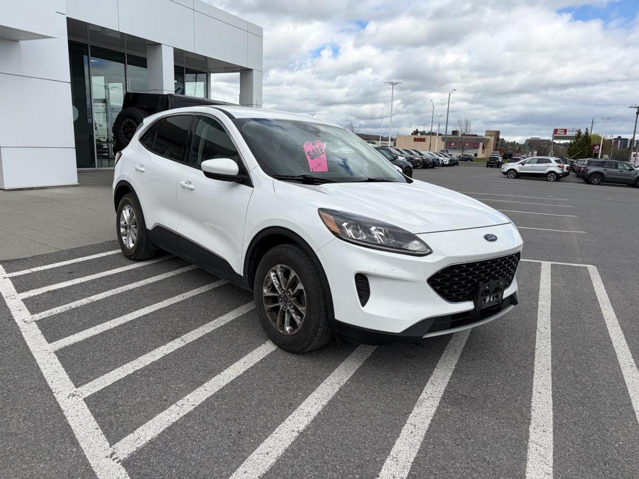 2020 Ford Escape SE Photo2