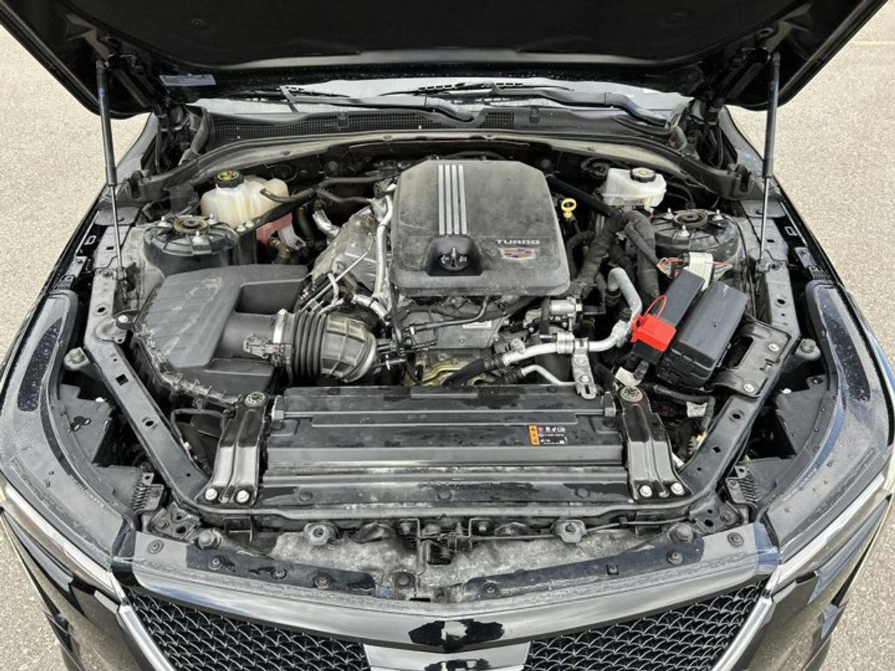 2021 Cadillac CT4 Sport | One Owner | No Accidents | Ventilated Front Seats Photo