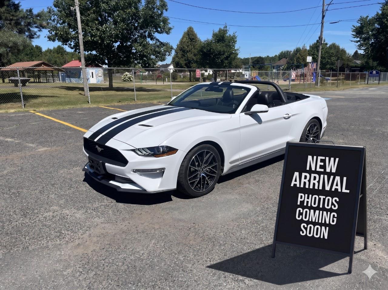 2022 Ford Mustang EcoBoost Premium Convertible Photo0