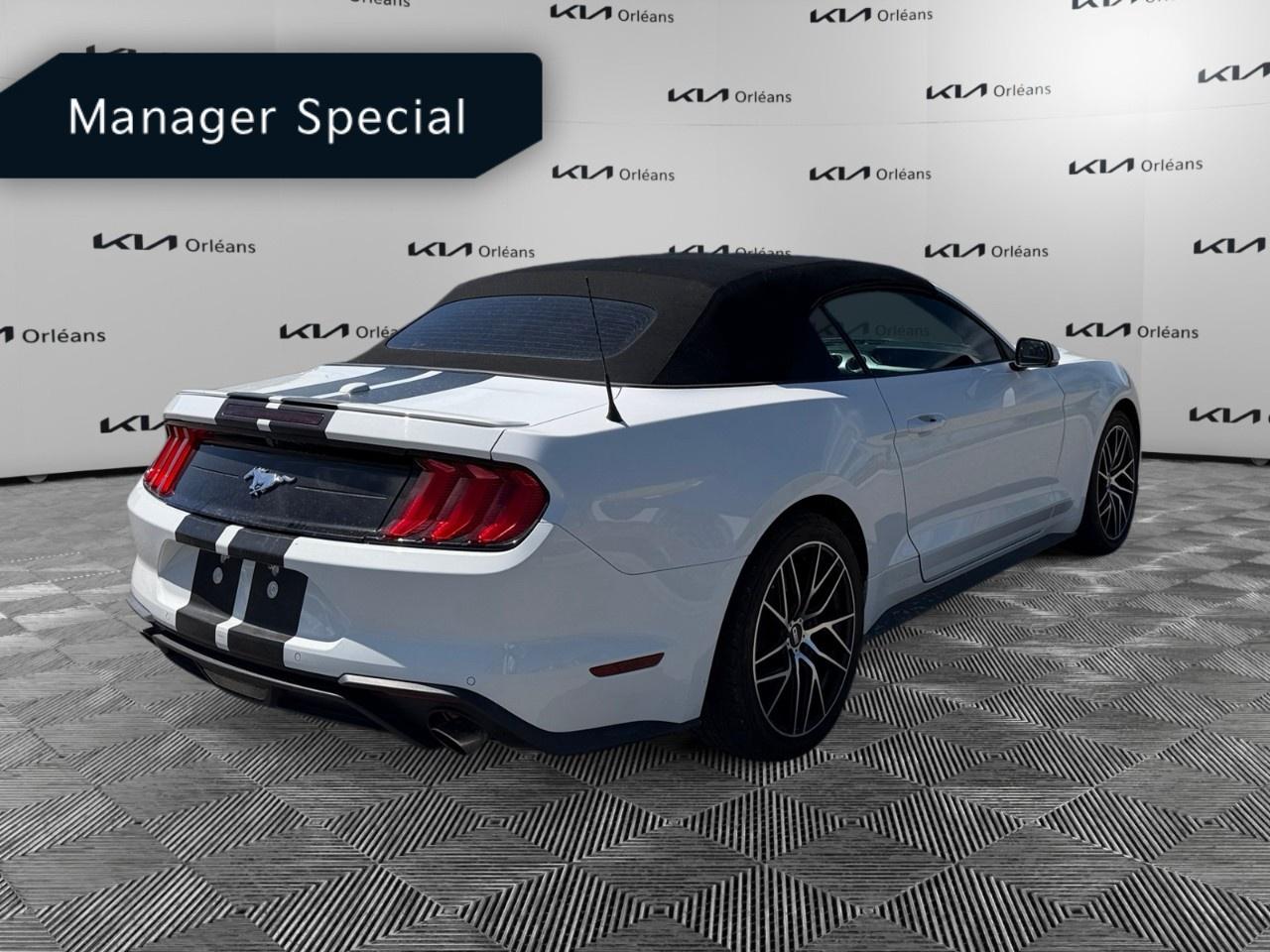 2022 Ford Mustang EcoBoost Premium Convertible Photo4