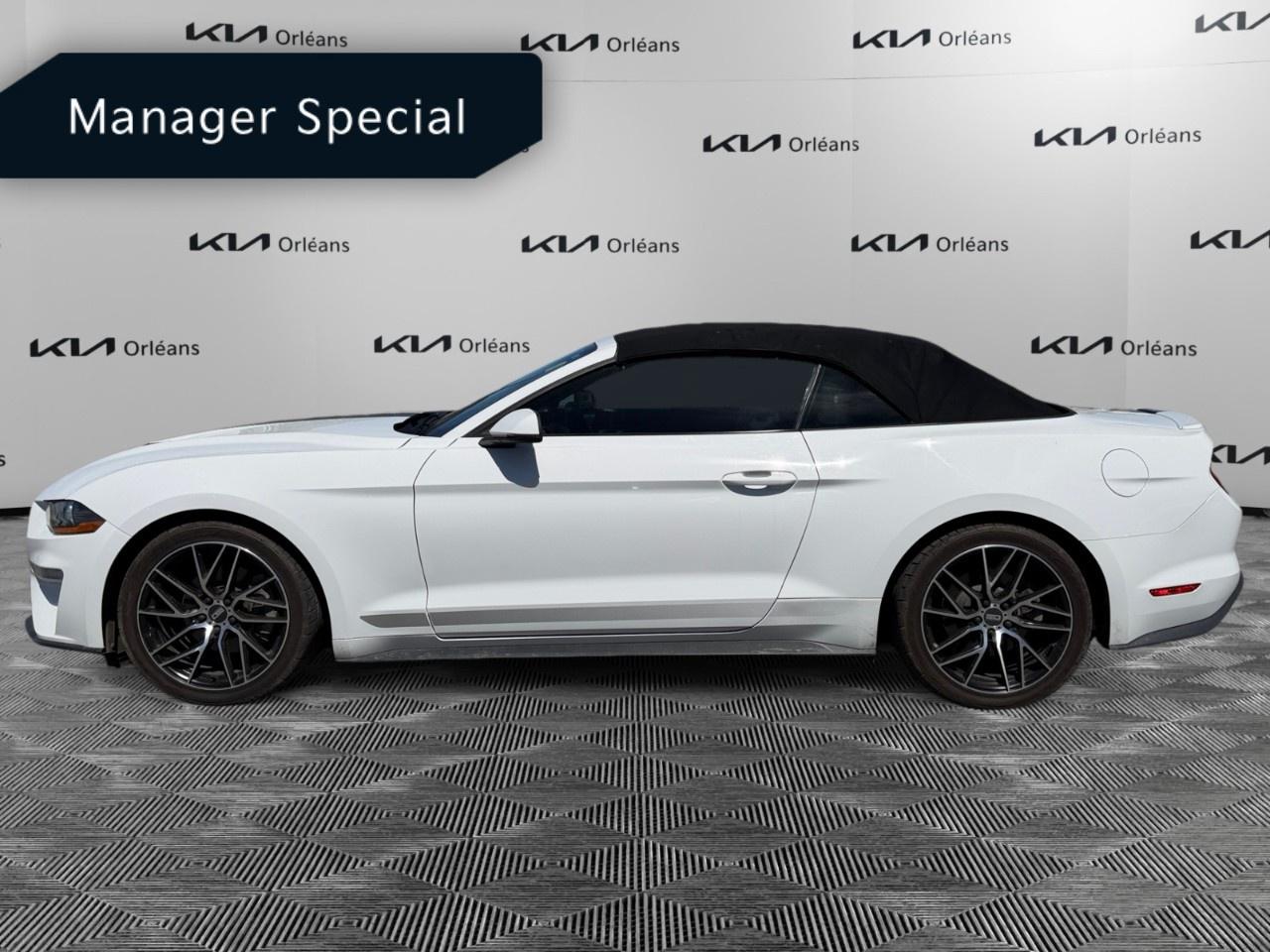 2022 Ford Mustang EcoBoost Premium Convertible Photo