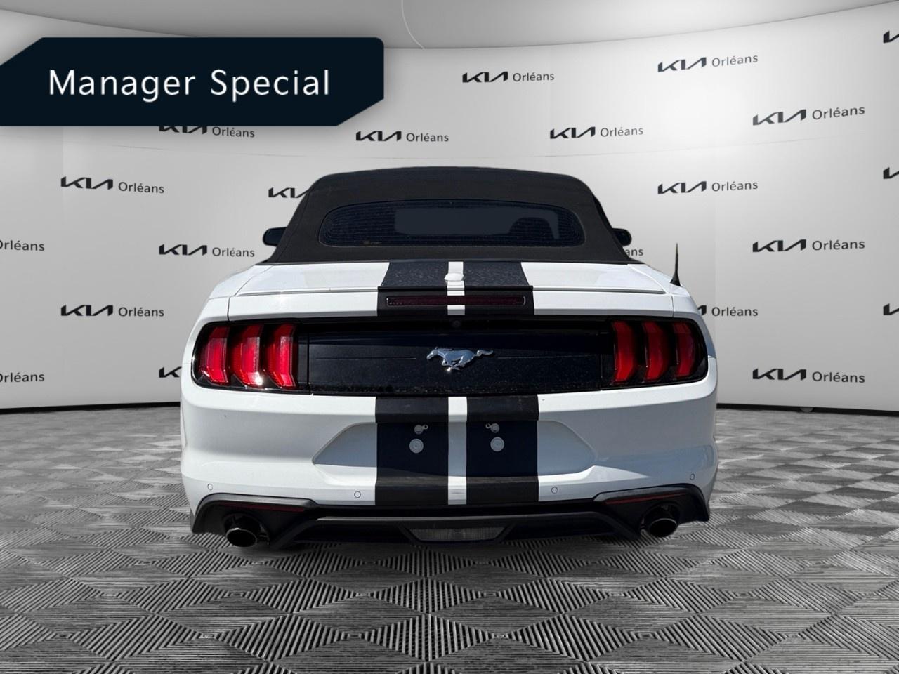 2022 Ford Mustang EcoBoost Premium Convertible Photo