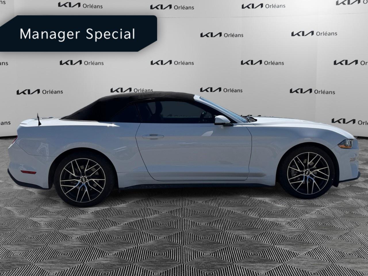 2022 Ford Mustang EcoBoost Premium Convertible Photo