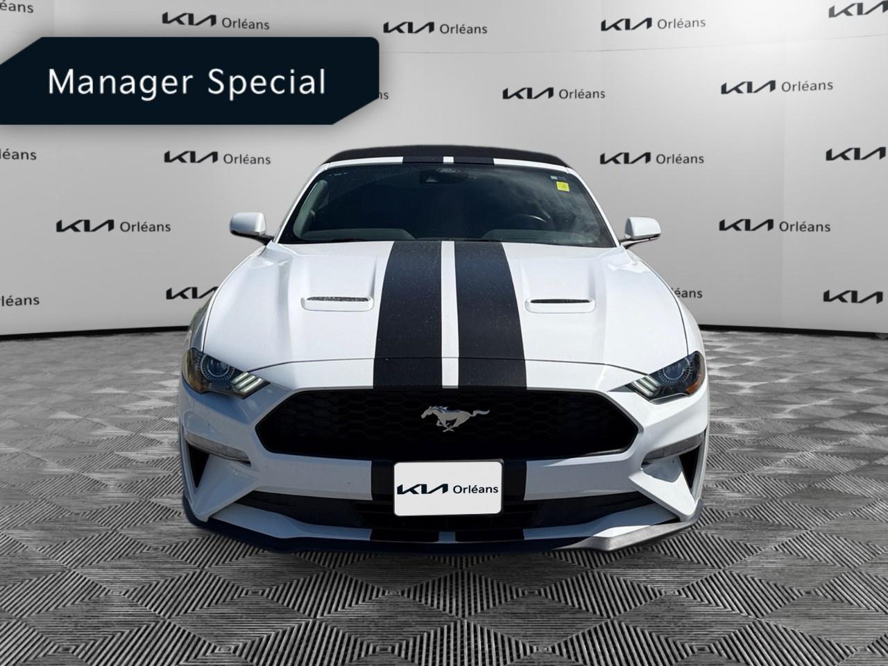 2022 Ford Mustang EcoBoost Premium Convertible Photo