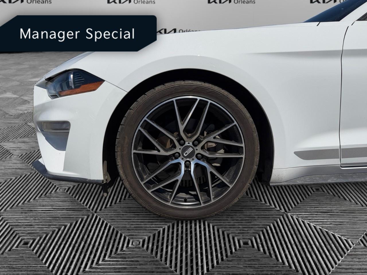 2022 Ford Mustang EcoBoost Premium Convertible Photo