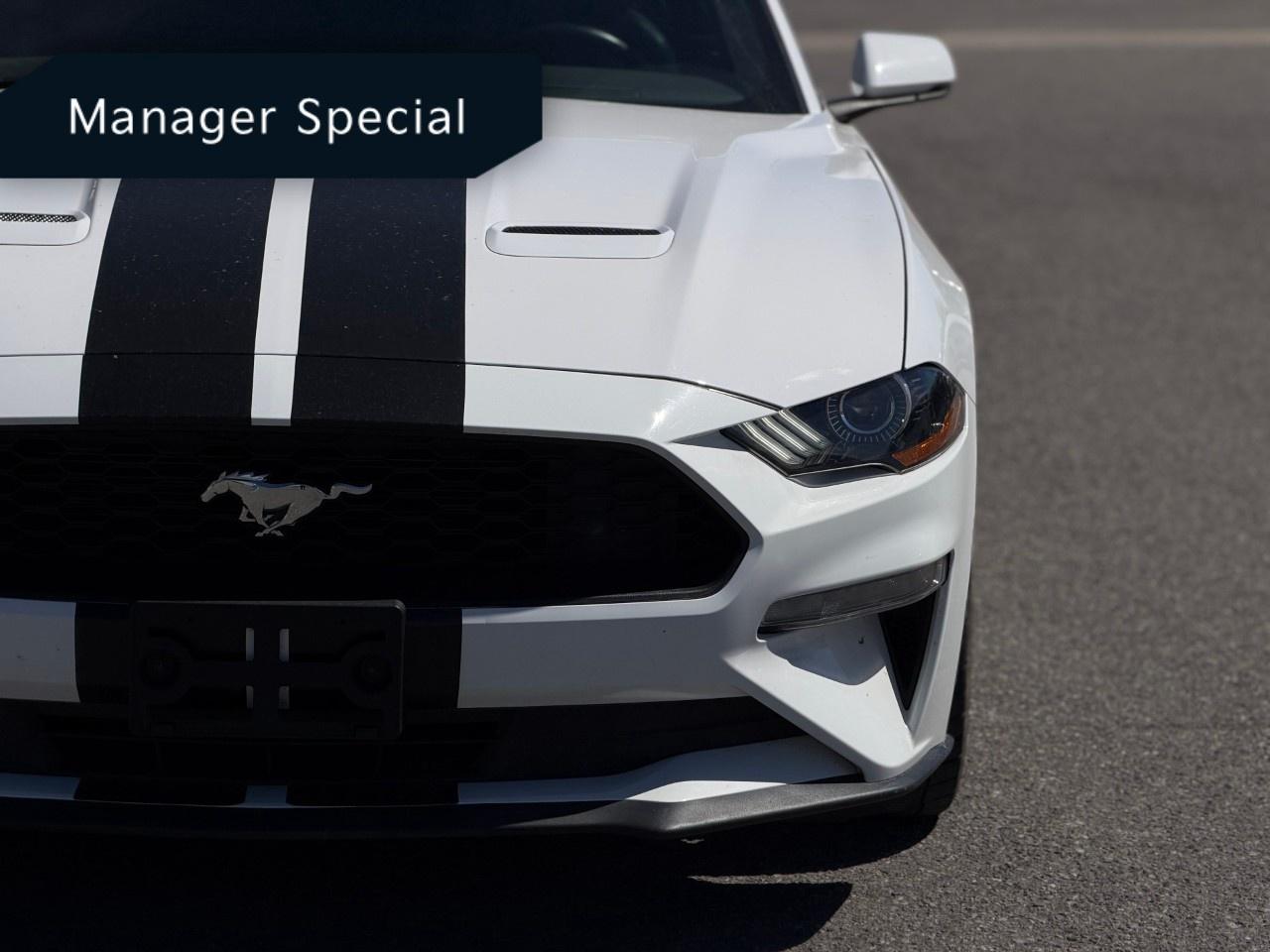 2022 Ford Mustang EcoBoost Premium Convertible Photo