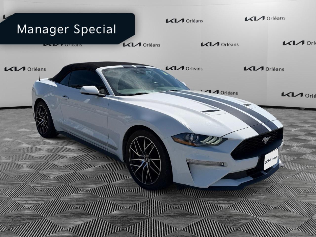 2022 Ford Mustang EcoBoost Premium Convertible Photo