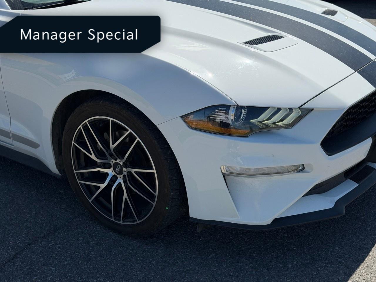 2022 Ford Mustang EcoBoost Premium Convertible Photo