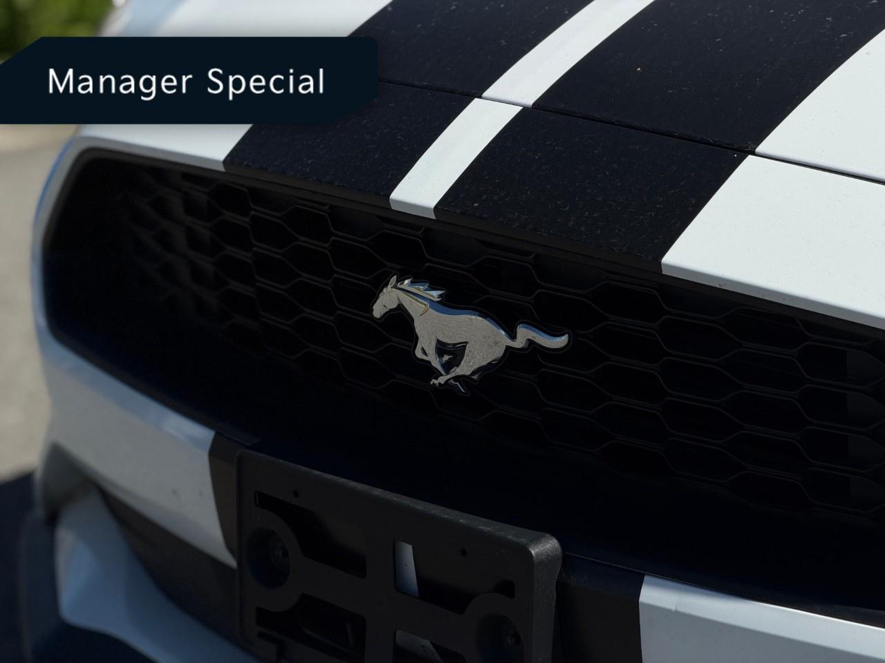 2022 Ford Mustang EcoBoost Premium Convertible Photo